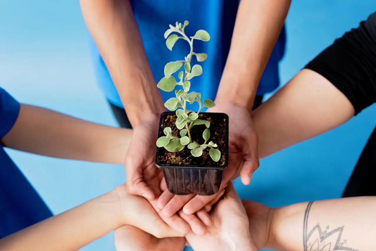 Celeste-Astra-band-Reduce-carbon-emissions